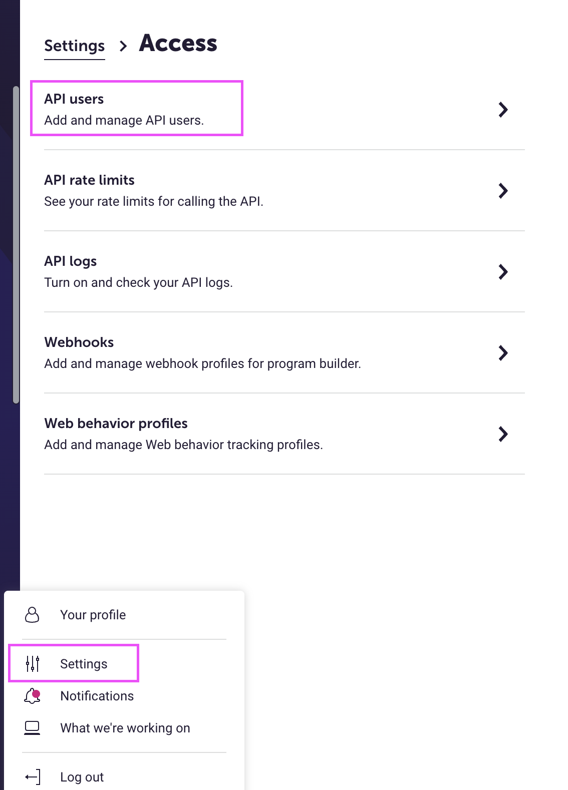 Dotdigital API Settings