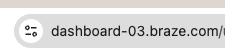 Braze Instance URL