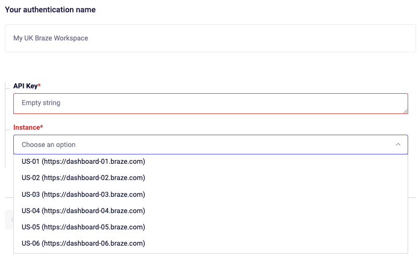 Enter API Key and Select Instance